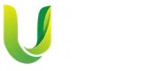 U88 博彩指南 —— 马来西亚华语体育与电竞